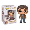 Funko Pop Harry Potter - Harry with Two Wands Exclusive Bobbleheads Funko