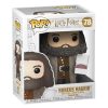 Funko 35508 Pop! Harry Potter: Hagrid with Cake 6", Standard, MultiStandard Standard Funko Action Figures