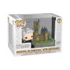 Funko Funko Pop! Town: Harry Potter: Chamber of Secrets 20th Anniversary - Minerva with Hogwarts, MultiStandard Standard Bobbleheads